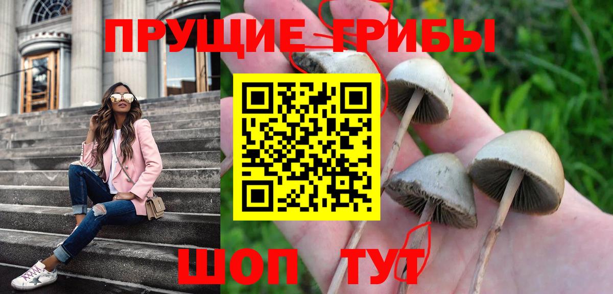 Псилоцибиновые грибы MAGIC MUSHROOMS Салават