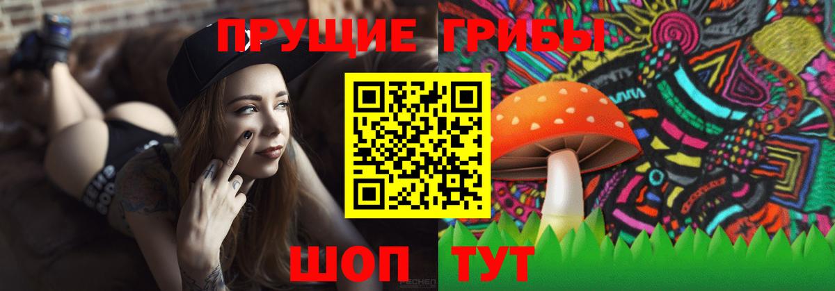 Псилоцибиновые грибы MAGIC MUSHROOMS  купить закладку  Салават  Вход с VPN  Псилоцибиновые грибы ЛСД 